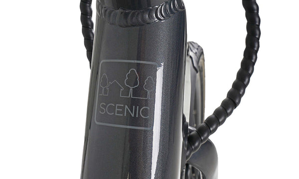 Dawes Scenic Low Step