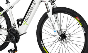 SX3